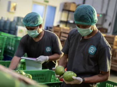 Telkom Klarifikasi Soal Kasus Korupsi yang Libatkan MDI Ventures di Startup