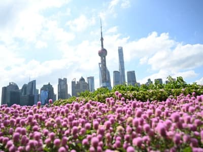 Shanghai Bangun Pusat Data Besar, Tingkatkan Kapasitas AI hingga 100 Exaflops