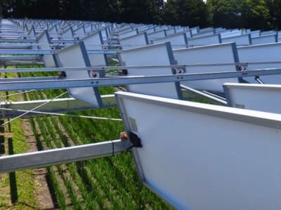 Agrivoltaik Jepang: Menghasilkan Listrik dan Beras Tanpa Korbankan Lahan