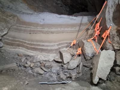 Penemuan Tulang Hewan 75.000 Tahun Ungkap Tantangan Perubahan Iklim Dulu dan Kini