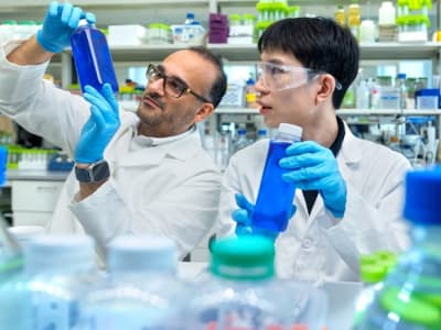 Inovasi Pewarna Biru Alami dari Alga: Solusi Sehat untuk Industri Makanan