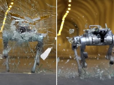 Unitree A2: Robot Anjing Industri Lincah dan Kuat untuk Tantangan Berat