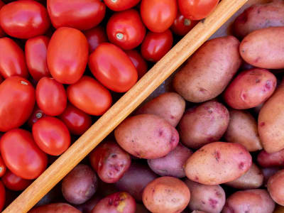 Asal Usul Kentang Terungkap: Hibridisasi Nenek Moyang Tomat dan Tanaman Andes