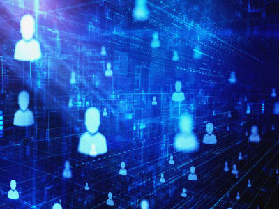 Kebocoran Data Adopsi di Gladney: Risiko dan Upaya Perbaikan Keamanan