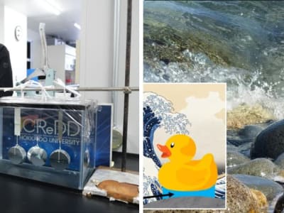 Hidrogel Baru dengan Perekat Terkuat untuk Lingkungan Bawah Air Dikembangkan di Jepang