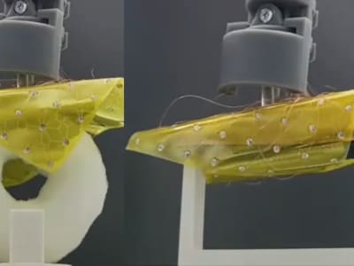 Robot Lembaran Pintar KAIST: Lipat, Bergerak, dan Pegang Tanpa Engsel Mekanis