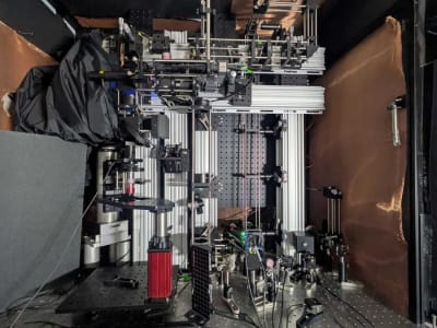 Mikroskop Inovatif Menembus Kedalaman Otak Tanpa Pewarna dan Modifikasi