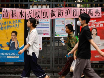 Ilmuwan Tiongkok Ingatkan Pengendalian Nyamuk Tepat Cegah Wabah Demam Chikungunya