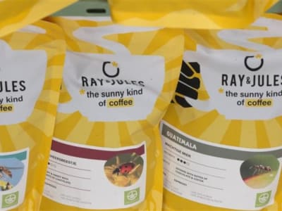 Revolusi Pemanggangan Kopi Ramah Lingkungan dengan Teknologi Digital Siemens