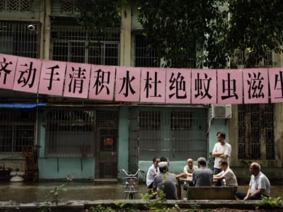 Pemerintah Lokal Foshan Lawan Penyebaran Penyakit Nyamuk dengan Langkah Ketat