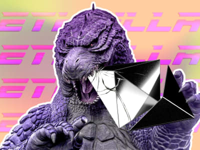 ETHZilla: Perusahaan Treasury Ethereum Tanpa Leverage dengan Strategi Berbeda