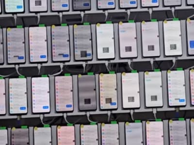 Bahaya Penipuan SMS Phishing: Dari Magic Cat ke Magic Mouse Merajalela