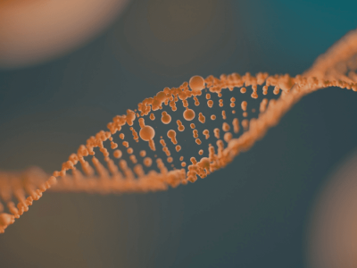 Inovasi Sistem PCE Memudahkan Pengeditan Jutaan Pasang Basa DNA