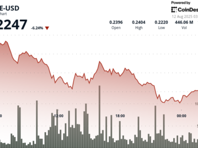 Penurunan Harga DOGE 6.88%, Tekanan dari Whales Jadi Kunci Pasar