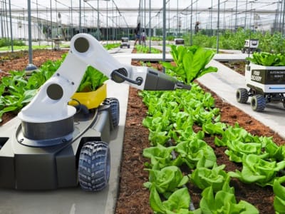 Pabrik Gene Editing AI Percepat Pengembangan Tanaman Tahan Penyakit dan Berasa Lezat