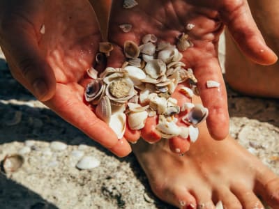 Material Plastik Daur Ulang Lebih Kuat Berkat Desain Terinspirasi Kerang Laut