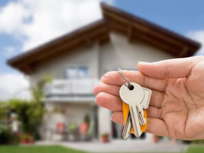 Dukungan Besar Anthony Pompliano Buat Saham Opendoor Jadi Sorotan Meski Risiko Tinggi