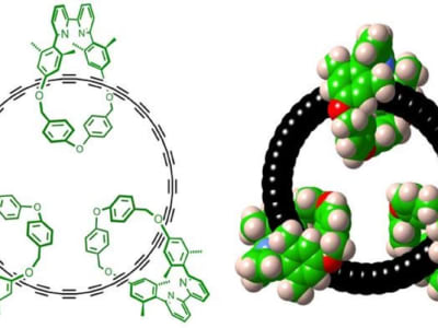 Terobosan Sintesis Siklus Karbon Stabil di Suhu Ruang oleh Tim Oxford