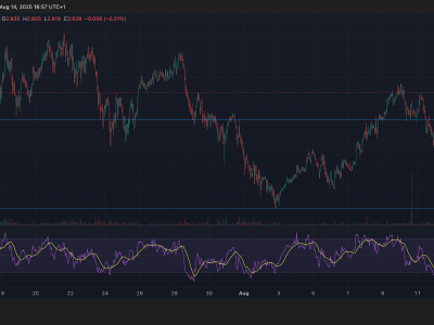 NEAR Protocol Alami Volatilitas Tajam, Apa Risiko dan Peluangnya?