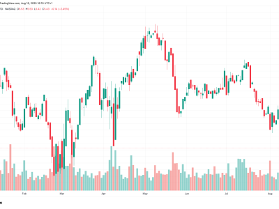 Saham Digital Asset Treasury Turun Tajam Saat Rally Kripto Mulai Meredup