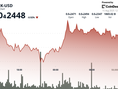 BONK Meme Coin: Zona Support dan Resistance Kunci Mengendalikan Harga saat Ini