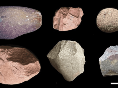 Toolkit Oldowan 2,6 Juta Tahun Ungkap Perjalanan Alat Batu Manusia Purba