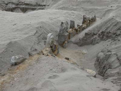 Penemuan Sadis 14 Korban Ritual Berusia 3.000 Tahun di Peru Mengungkap Budaya Kuno