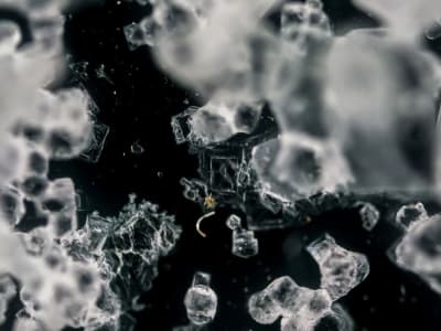 Material Kristal Baru yang Bisa "Bernafas" Buka Jalan Energi Bersih dan Bangunan Pintar