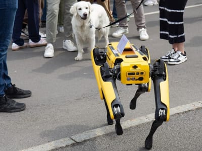 Hong Kong Gunakan Robot Anjing untuk Lawan Virus Nyamuk Chikungunya