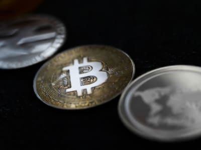 Crypto Meroket Berkat Dukungan Pemerintah dan Investor, Tapi Risiko Tetap Ada