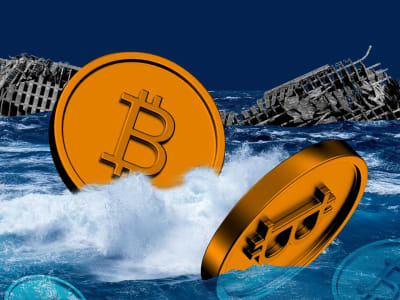 Mengukur Nilai Bitcoin: Inflasi, Emas, dan Masa Depan Cadangan Nasional