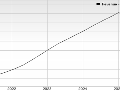 SentinelOne Tumbuh Pesat dengan AI dalam Persaingan Keamanan Siber Global