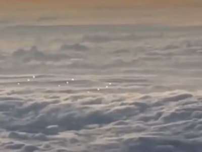 Penurunan Suara Paus Biru Saat Gelombang Panas Laut Mengancam Ekosistem