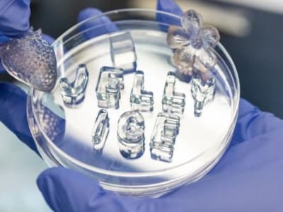 Jelly Ice: Es Ramah Lingkungan yang Tidak Meninggalkan Genangan Air