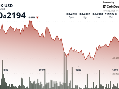 Harga BONK Turun Tajam, Investor Cerdas Akuisisi di Tengah Tekanan Jual