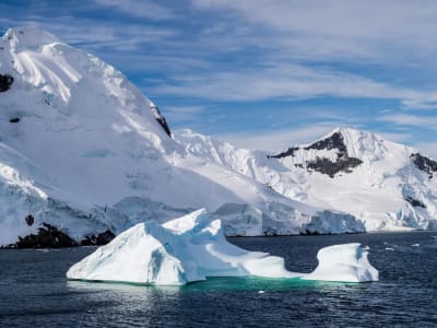 Risiko Keruntuhan Es Antartika dan Dampaknya pada Dunia dan Australia