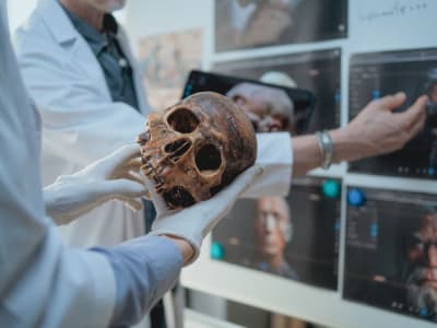 Fosil Anak 140,000 Tahun di Israel Buktikan Perkawinan Neanderthal dan Homo Sapiens