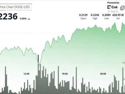 Dogecoin Rebound di Tengah Kekhawatiran Serangan Qubic dan Akumulasi Whale