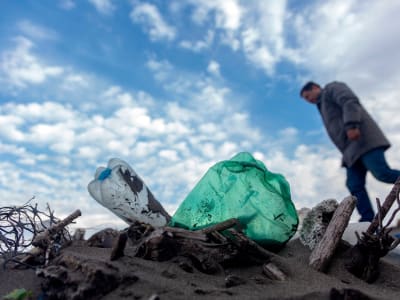Polusi Botol Plastik di Pantai Pasifik Amerika Latin: Masalah dan Solusi