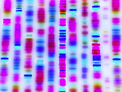 Optimism dan Flashbots Bersatu Percepat Transaksi di Jaringan Layer-2 Ethereum