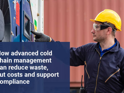 Panduan Lengkap Mengelola Rantai Dingin untuk Hemat Biaya dan Risiko