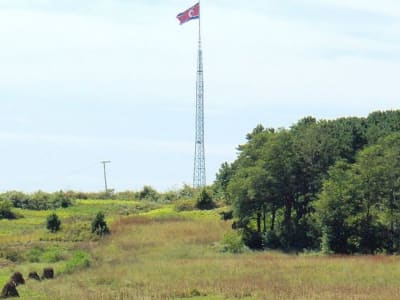 DMZ Korea: Dari Zona Konflik Jadi Surga Satwa Langka dan Alam