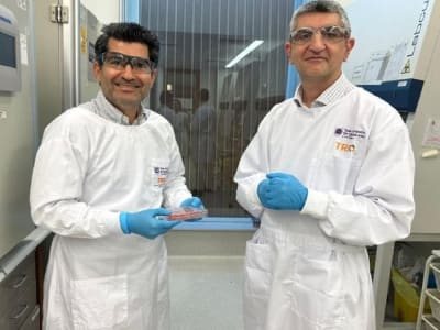 Peneliti UQ Ciptakan Kulit Manusia Lengkap untuk Terobosan Medis Kulit