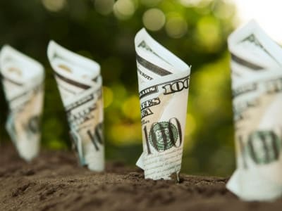 2 Saham Dividen Stabil untuk Investasi Aman di Pasar Saham yang Bergolak