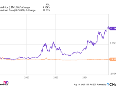 Hindari Meme Coin! Pilih Investasi Kripto yang Lebih Aman dan Menguntungkan