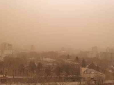 China dan Mongolia Bersatu Melawan Desertifikasi dengan Proyek Hijau Bersama