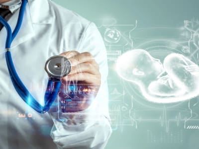 CCSI dan MEDITECH Kolaborasi Integrasi Sistem Rekam Medis Perinatal