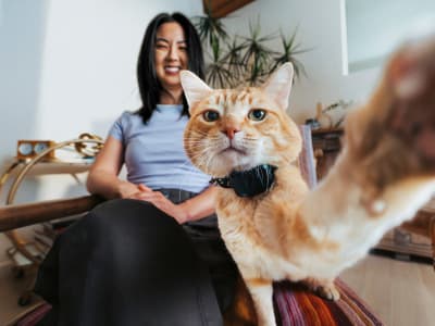 Fi Mini: Pelacak GPS Ringan dan Cerdas Untuk Anjing dan Kucing Kecil