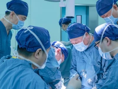 Transplantasi Paru dari Babi Genetik: Terobosan Baru Penyelamat Nyawa