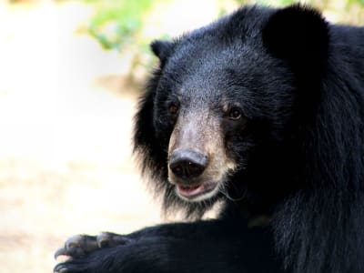 Pasar Bitcoin dan NFT Tertekan, Aktivitas Jaringan dan Minat Turun Drastis